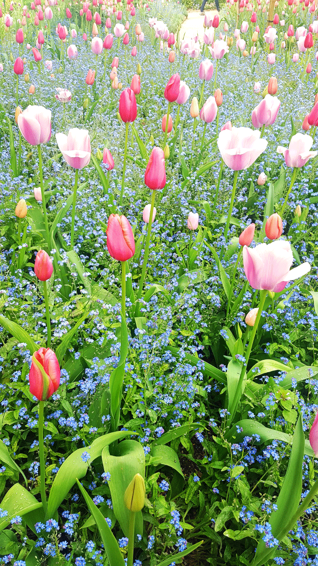 Les Jardins de Monet à Giverny, the daily couture