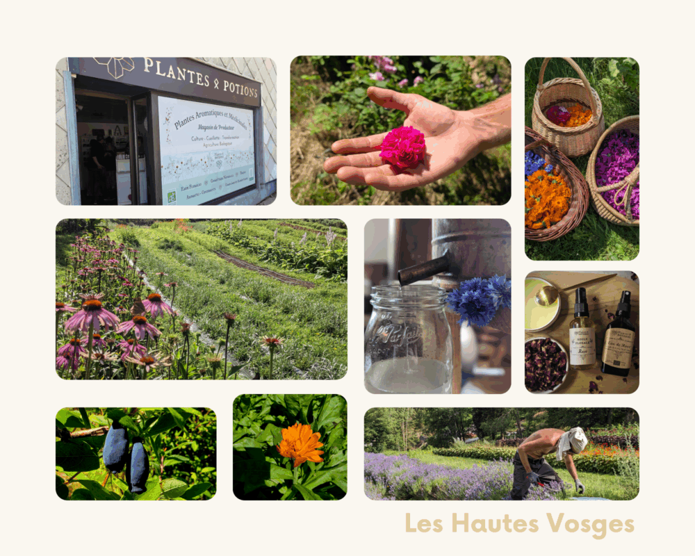 reportage hautes vosges de stephanie bui