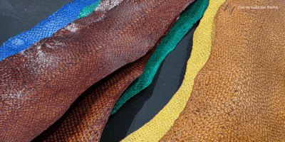 cuir-truite-banka-pau royale-episode-3-reportage-stephanie-bui-thedailycouture