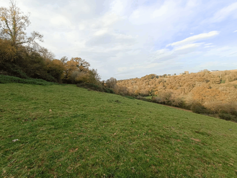 reportage pau royal - du terroir à la noblesse du cuir - stephanie bui - the daily couture