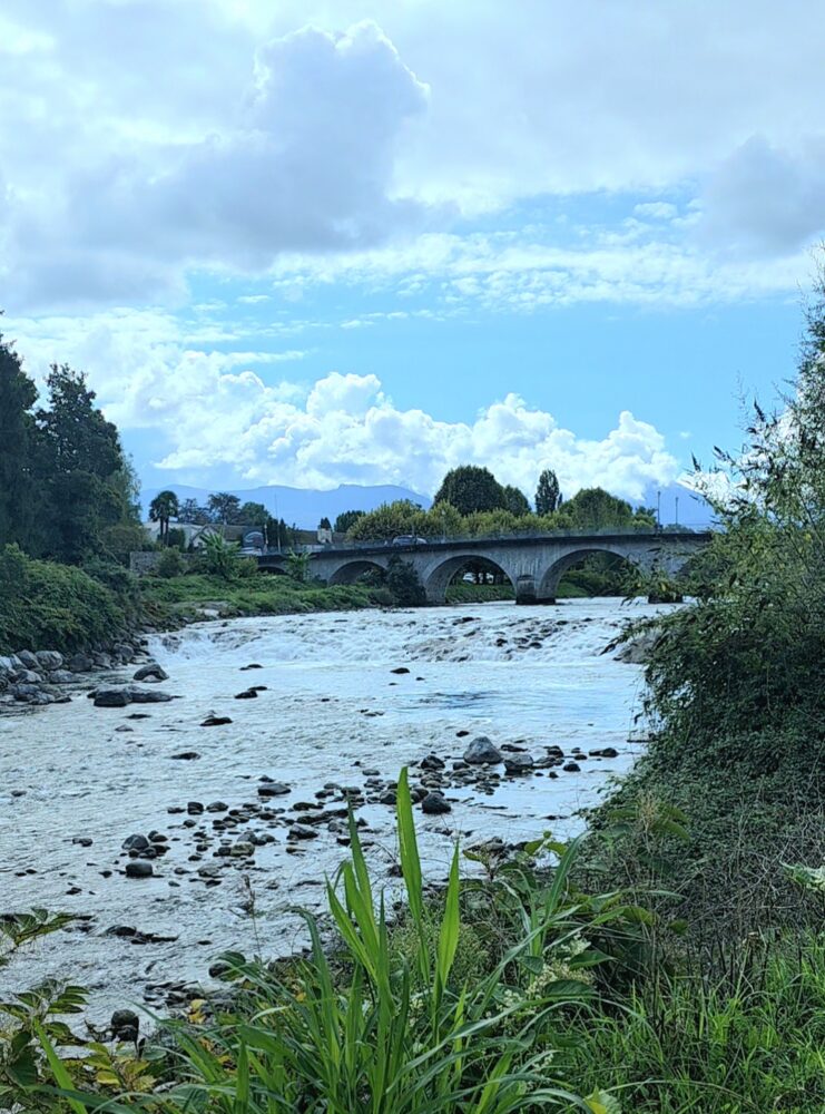 Reportage : pau royale, du terroir béarnais à la noblesse du cuir. Par Stéphanie Bui pour the daily couture.