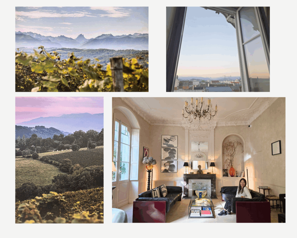 Pau royale, du terroir béarnais au noble cuir. Reportage de Stéphanie Bui pour The Daily Couture. Vues des Pyrénées depuis les vignobles des vignerons indépendants du Jurançon, vue des Pyrénées au loin depuis l'Hôtel le Bristol, au cœur de la ville historique paloise.